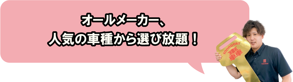 人気の車種から選び放題